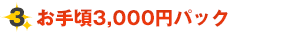 (3)お手頃3,000円パック