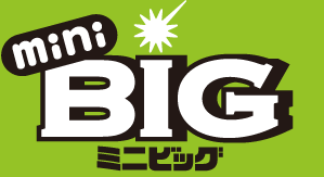 くじの種類は スポーツくじ Big