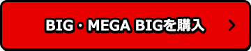 BIG・MEGA BIGを購入