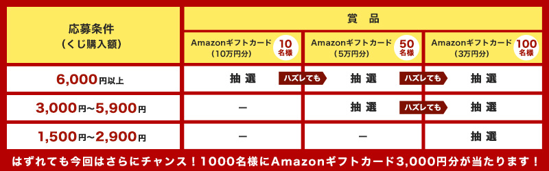 応募条件（くじ購入額）別の賞品内容