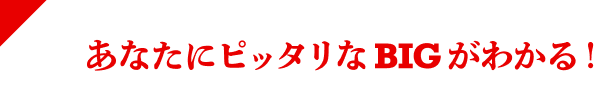 あなたにぴったりなBIGがわかる!