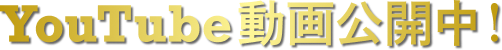 YouTube動画公開中！