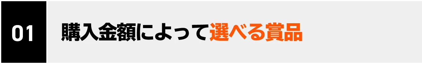 01 購入金額によって選べる商品