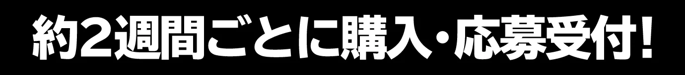 約2週間ごとに購入・応募受付！