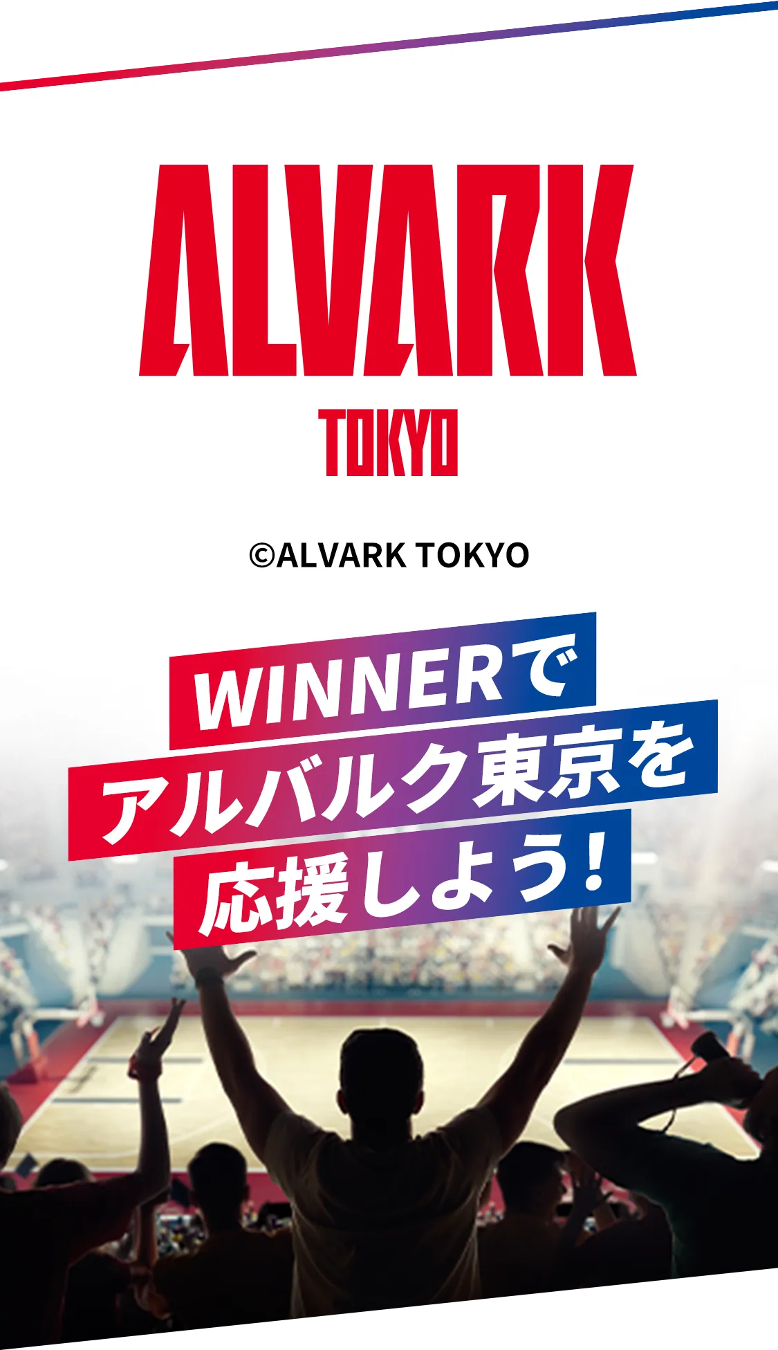 WINNERでアルバルク東京を応援しよう！