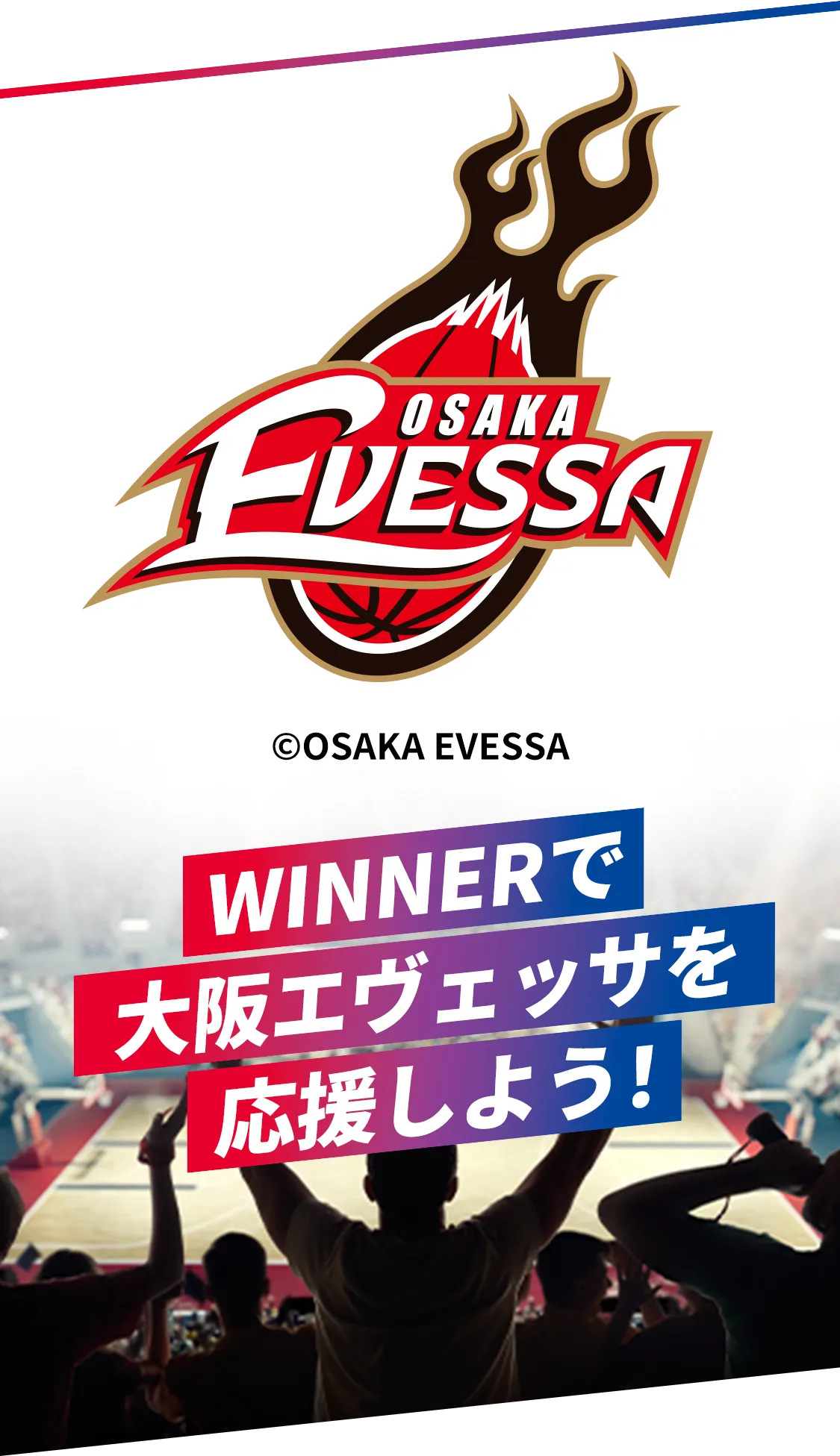 WINNERで大阪エヴェッサを応援しよう！