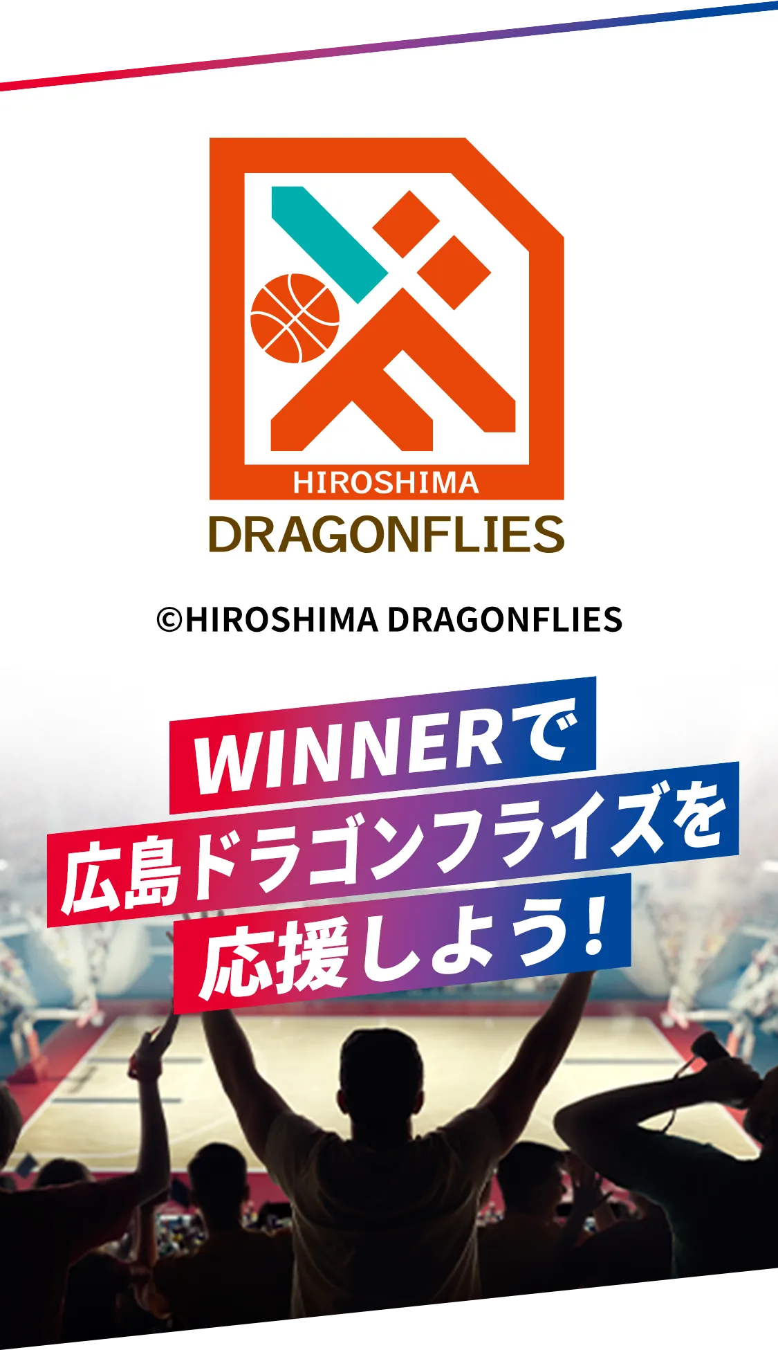 WINNERで広島ドラゴンフライズを応援しよう！
