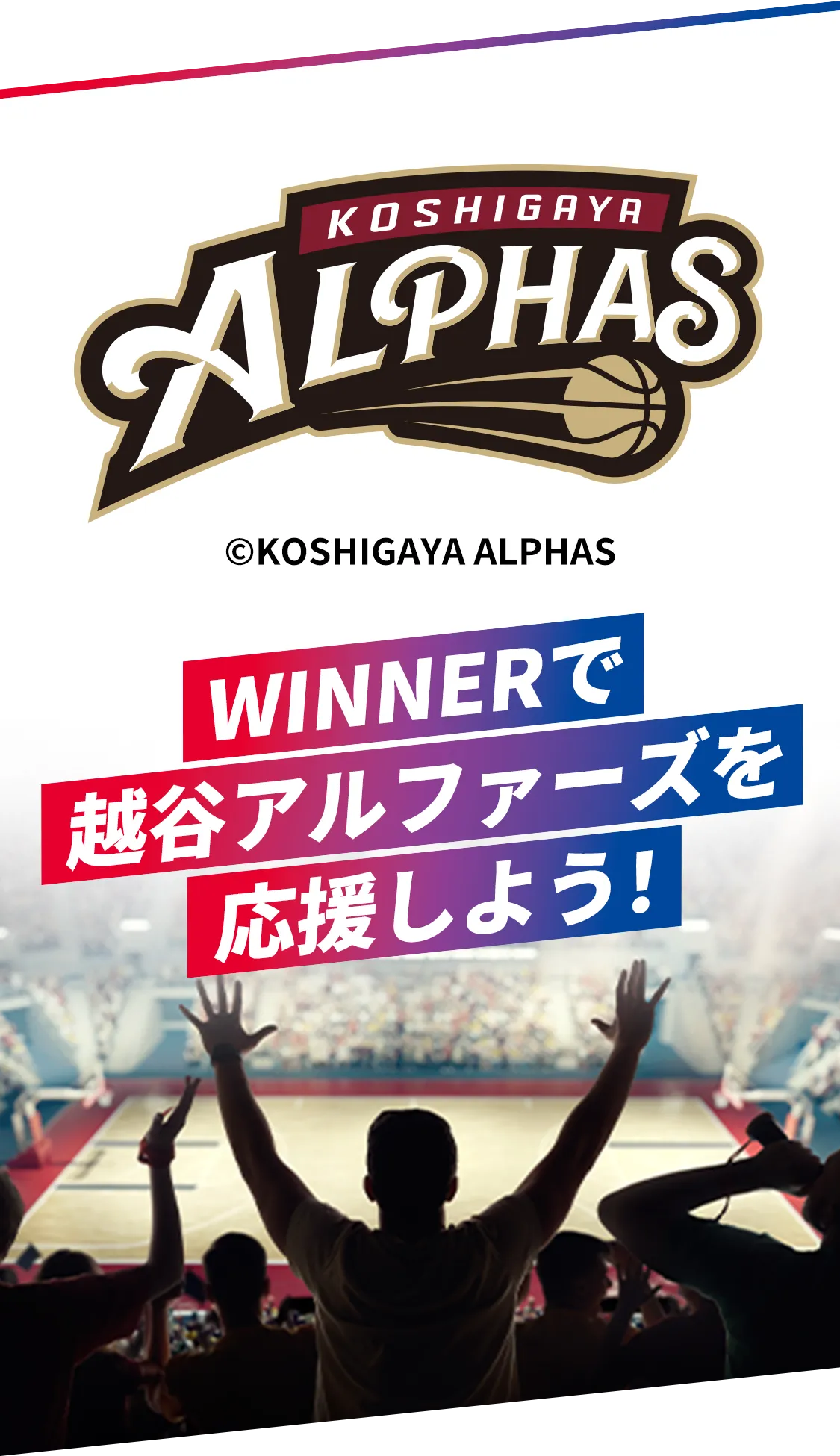 WINNERで越谷アルファーズを応援しよう！