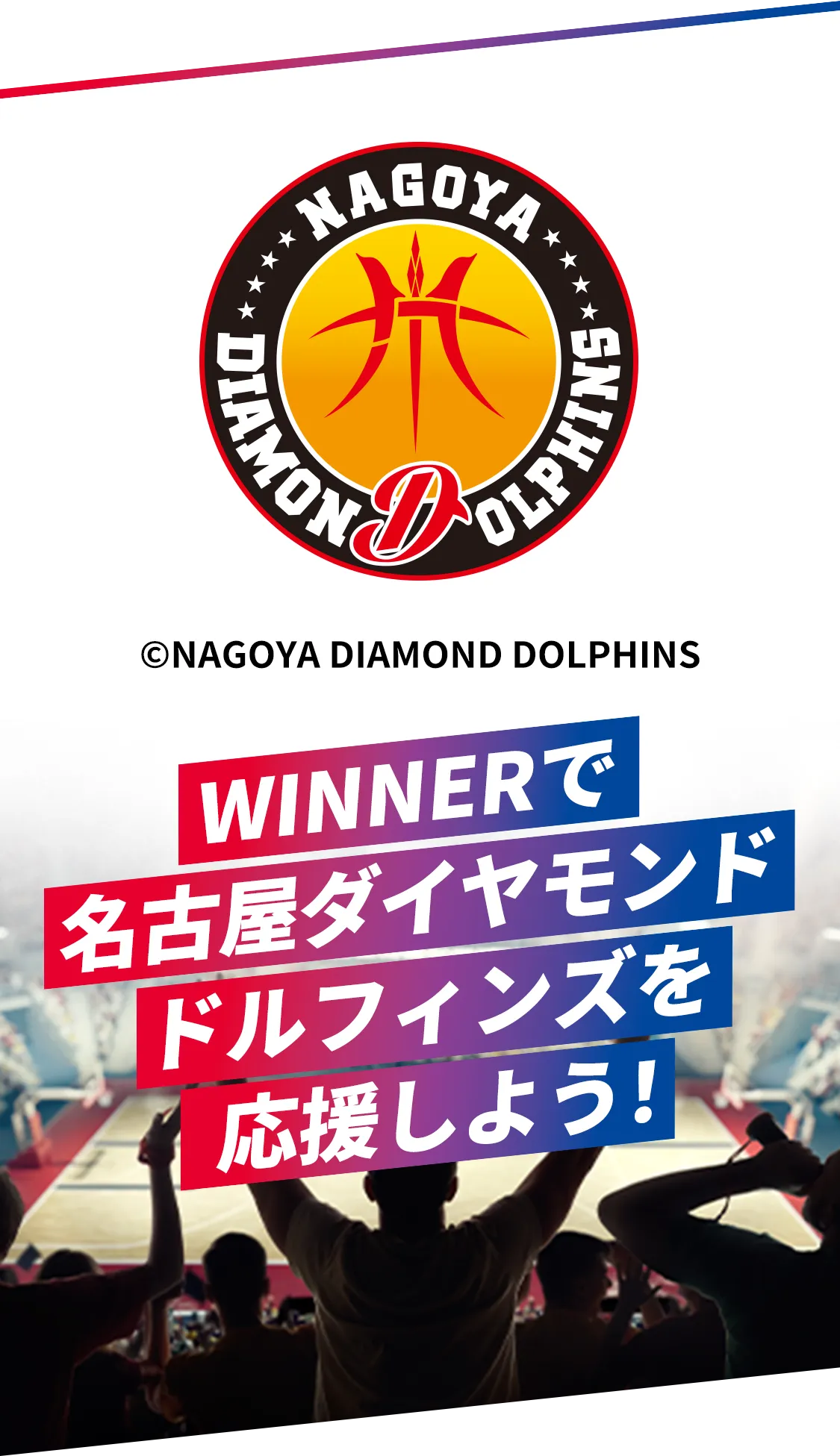 WINNERで名古屋ダイヤモンドドルフィンズを応援しよう！