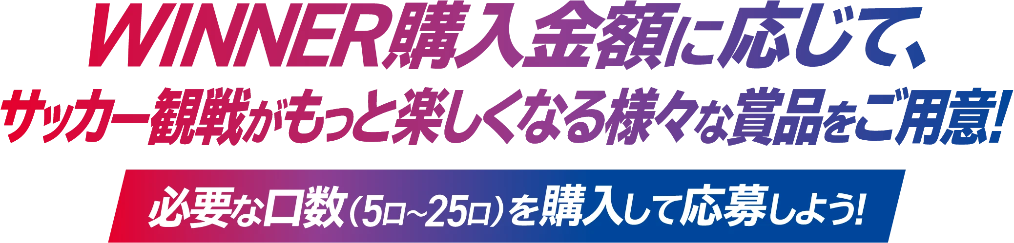 WINNER 購入金額に応じて、サッカー観戦がもっと楽しくなる様々な賞品をご用意！必要な口数（5口〜25口）を購入して応募しよう！