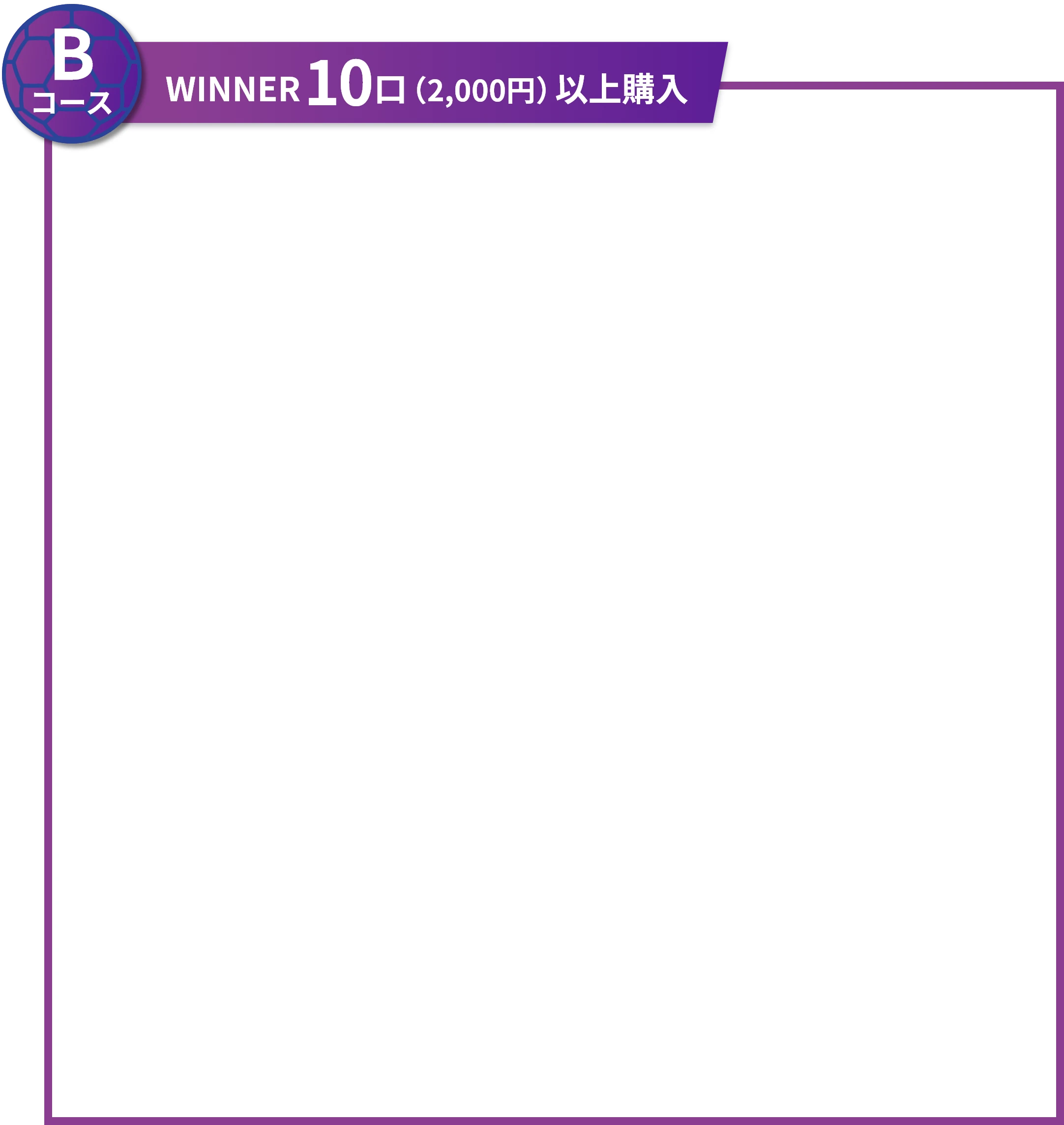 Bコース WINNER10口(2,000円)以上購入